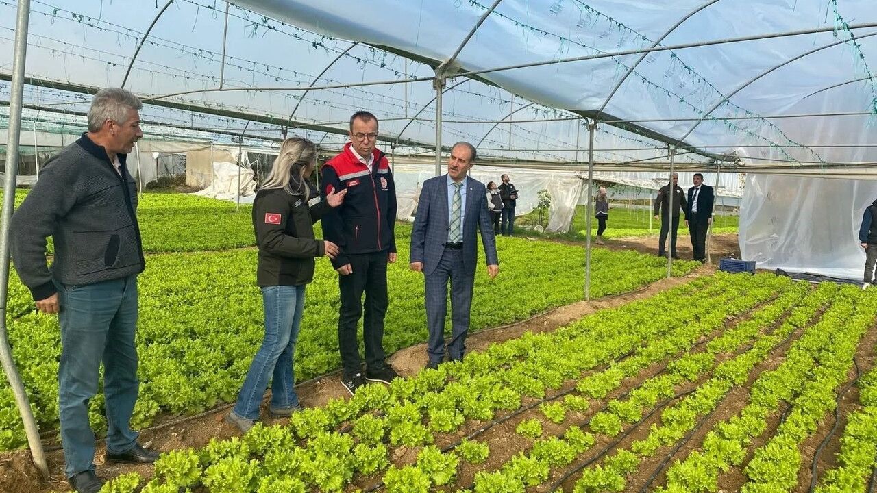 Bilecik'te 52 Çiftçinin Serası Yenilendi: 38,5 Ton Naylon Desteği