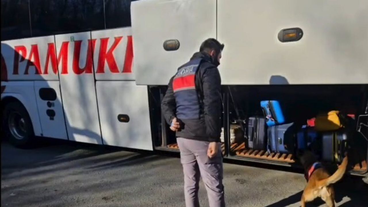 Bilecik'te Eş Zamanlı Aranan Şahıs Operasyonu: 115 Personel, 18 Noktada Denetim