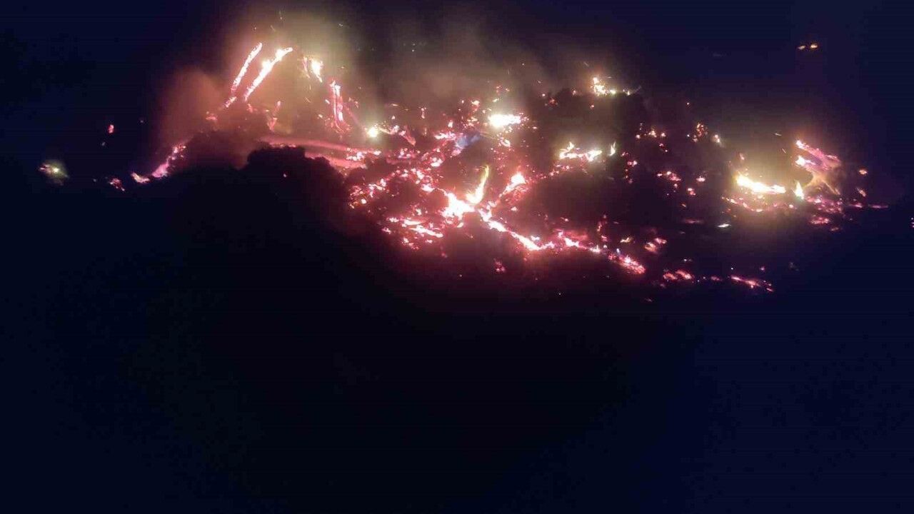 Bilecik'te Kontrollü Yakma Yangını: Alevler Kontrolden Çıktı