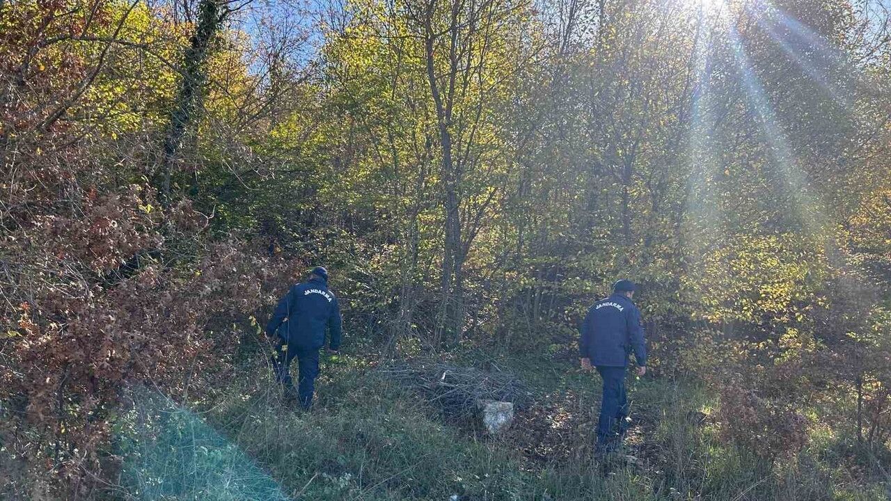 Bilecik'te Mantar Toplamaya Giden İsmail Kaya İçin 96 Kişilik Arama