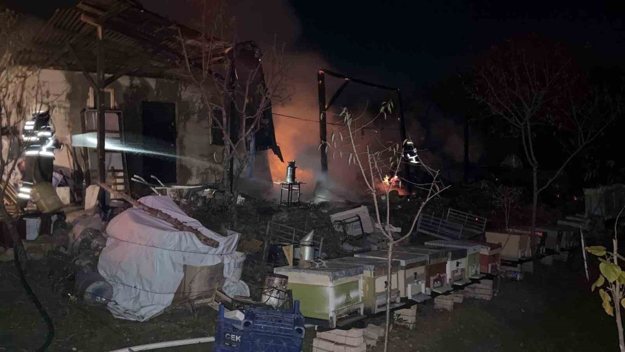 Bilecik'te Sundurma Yangını: Arı Kovanlarına Zarar Gelmedi