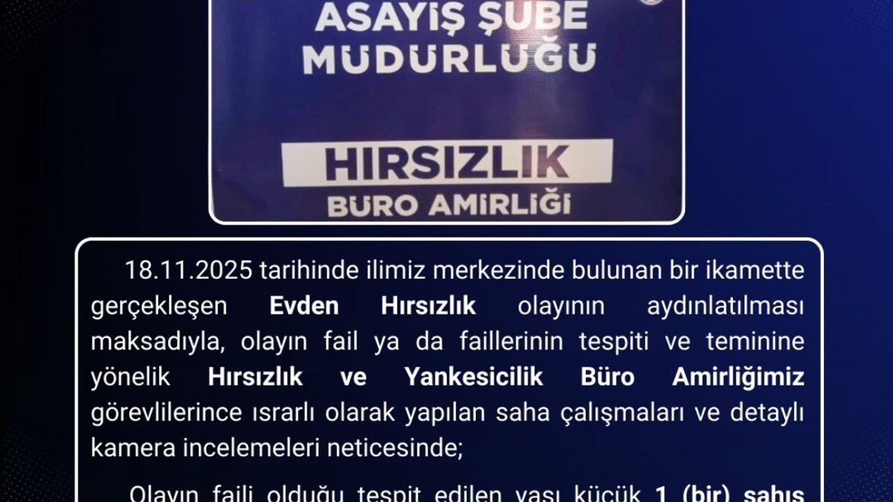 Bingöl'de Evden Hırsızlık Faili Tutuklandı