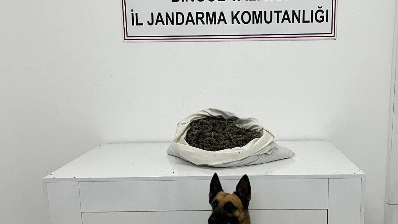 Bingöl’de Jandarma Operasyonu: 2 kilo 802 gram Esrar, 1 Tutuklu