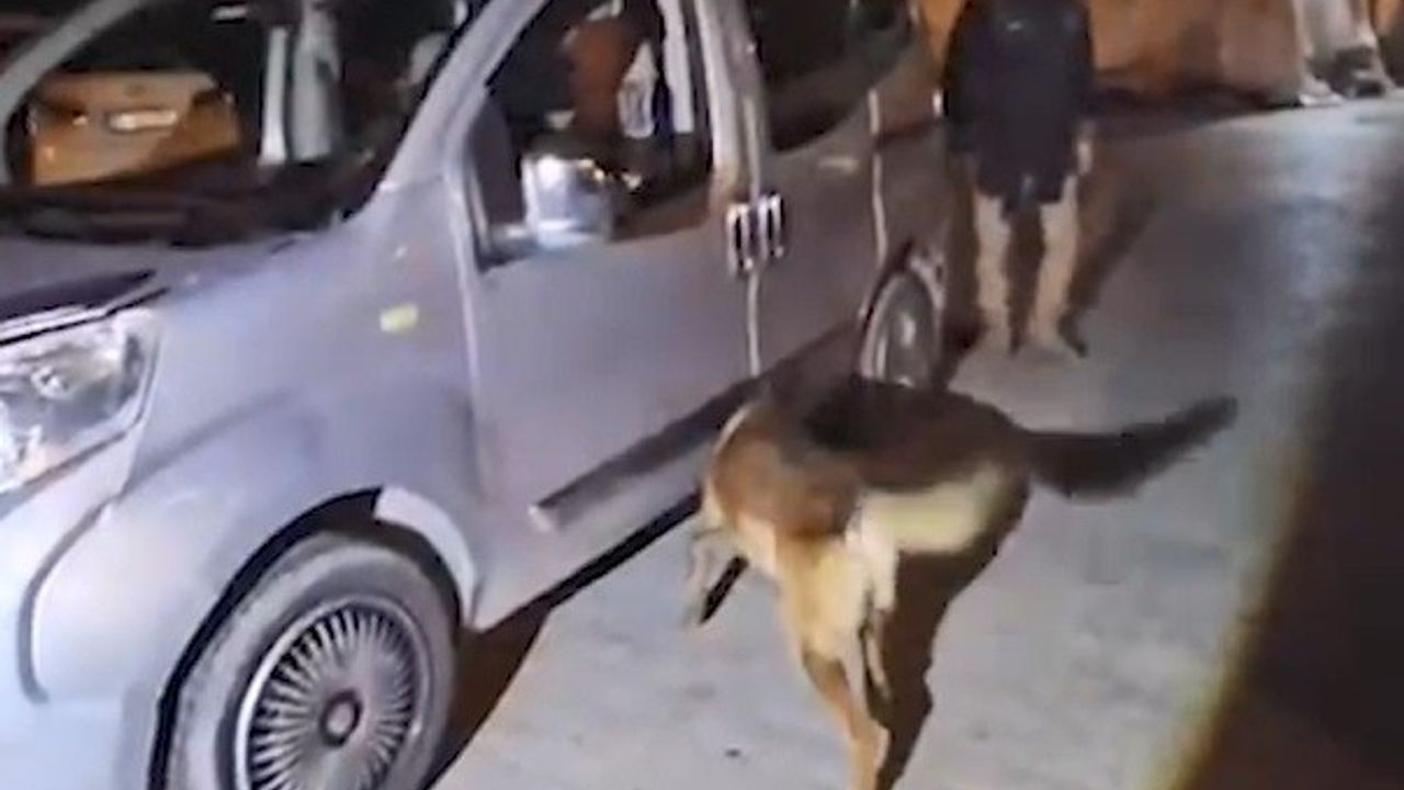 Bitlis Tatvan'da Uyuşturucu Operasyonu: 1 Kişi Tutuklandı