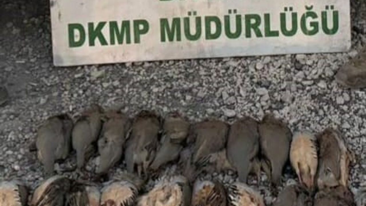 Bitlis'te 5 avcıya kota aşımı nedeniyle 63.680 TL ceza