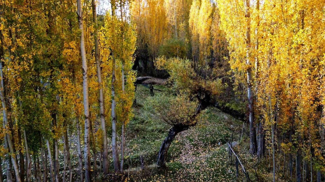 Bitlis’te Sonbahar Renkleri: Dağlar, Vadiler ve Değirmenaltı’nda Kartpostallık Görüntüler
