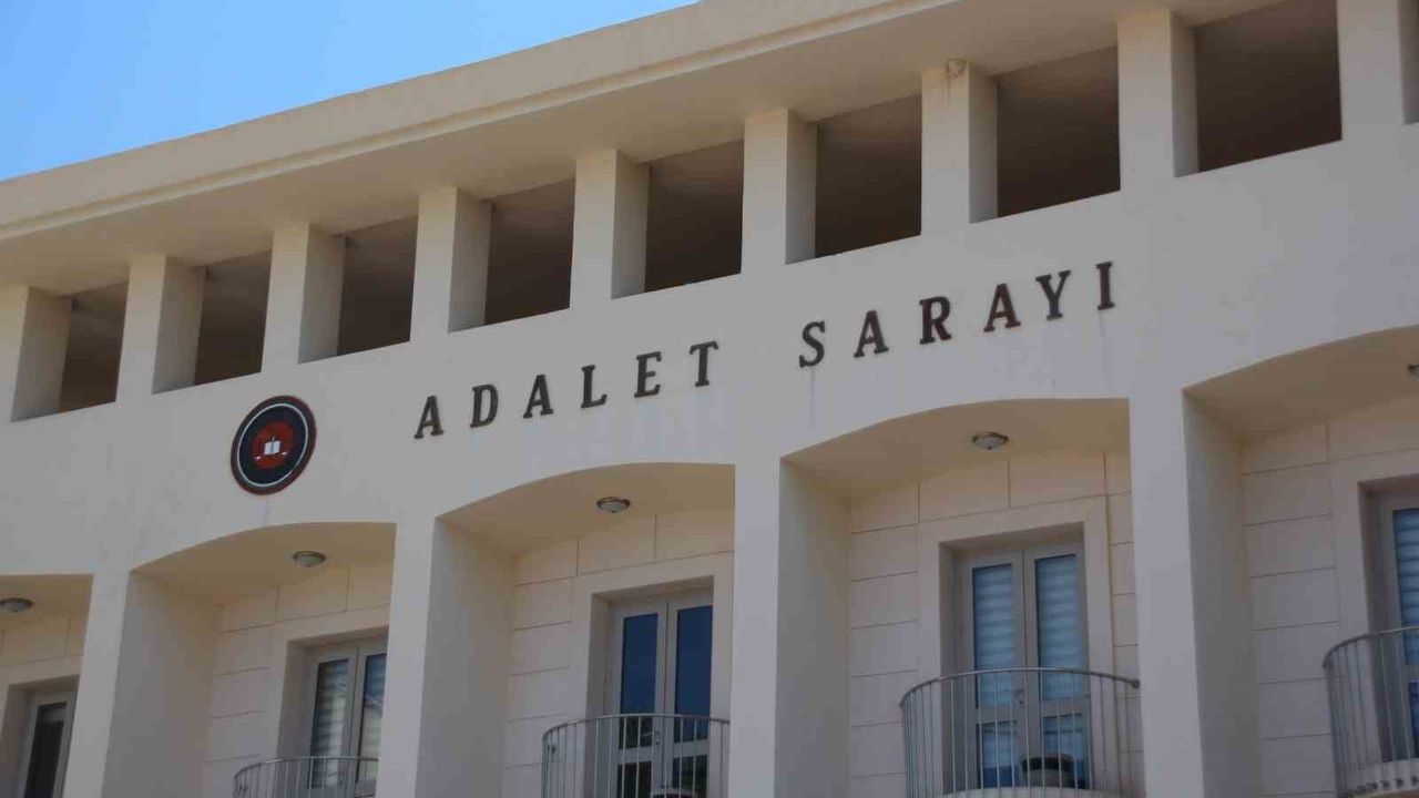 Bodrum Gümüşlük'te Tüfekli Saldırı: Yavru Köpeklere Ateş Eden Şahıs Tutuklandı