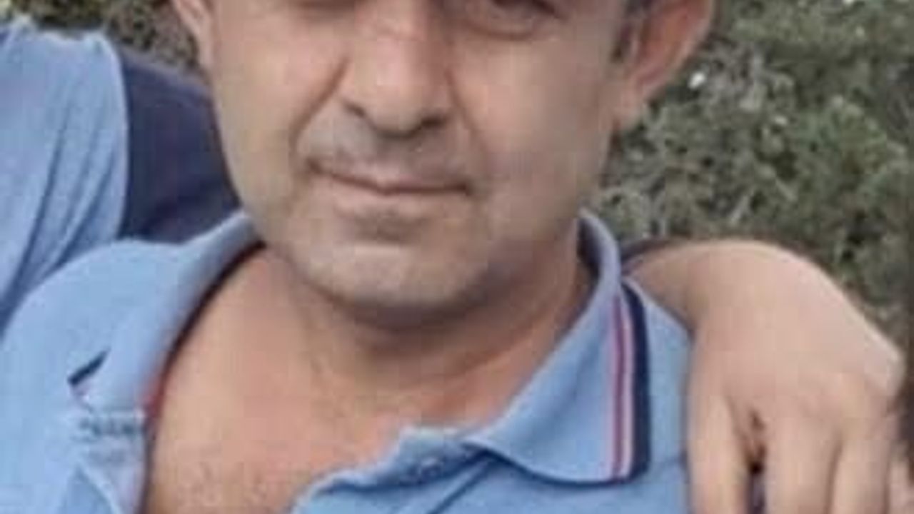 Bolu'da Ağaç Kazası: Seyid Ahmet Özay (52) Hayatını Kaybetti