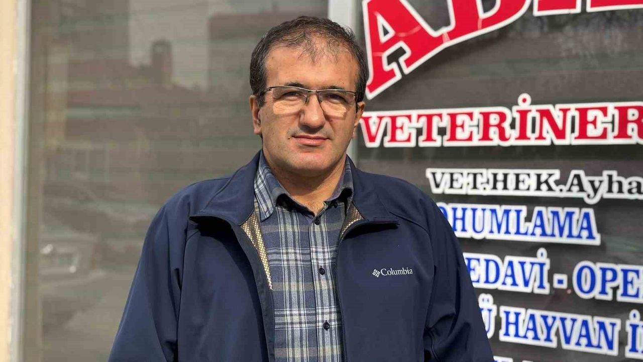 Bolu'da 'Deli Dana' Uyarısı: Uzman Kaçak Kesime ve Sakatata Dikkat Edin