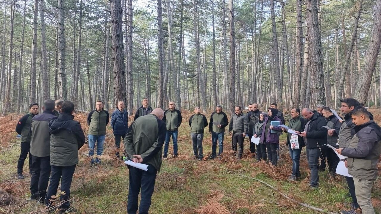 Bolu’da Sağlıklı Orman İçin Silvikültürel Tatbikat