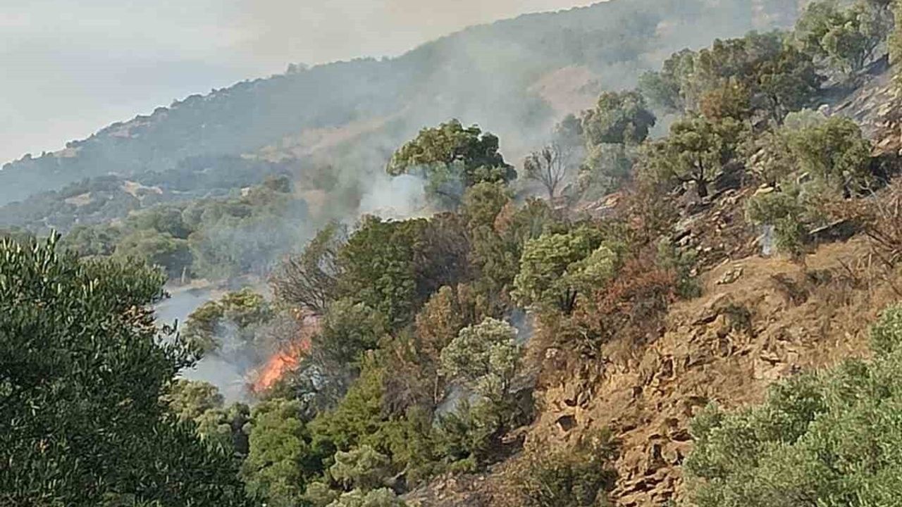 Bozdoğan’da Rüzgarın Etkilediği Orman Yangınına Müdahale