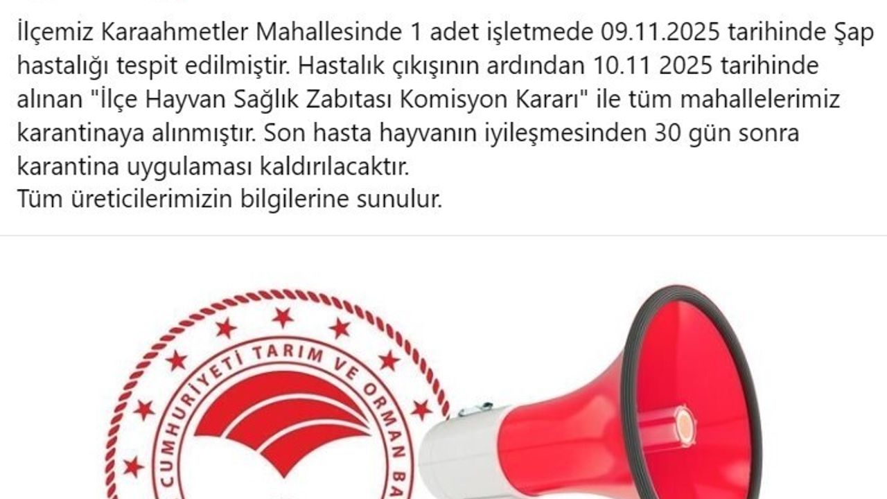 Bozdoğan'da Şap Alarmı: Tüm Mahalleler Karantinaya Alındı