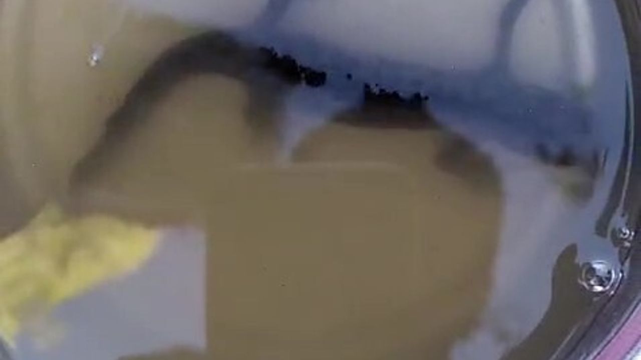 Buldan'da Asırlık Kuyudan Semender Sürprizi