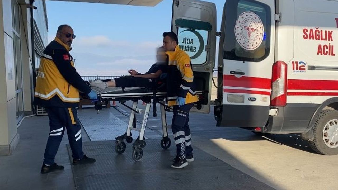 Burdur'da Sokak Köpekleri 13 Yaşındaki Kızı Yaraladı