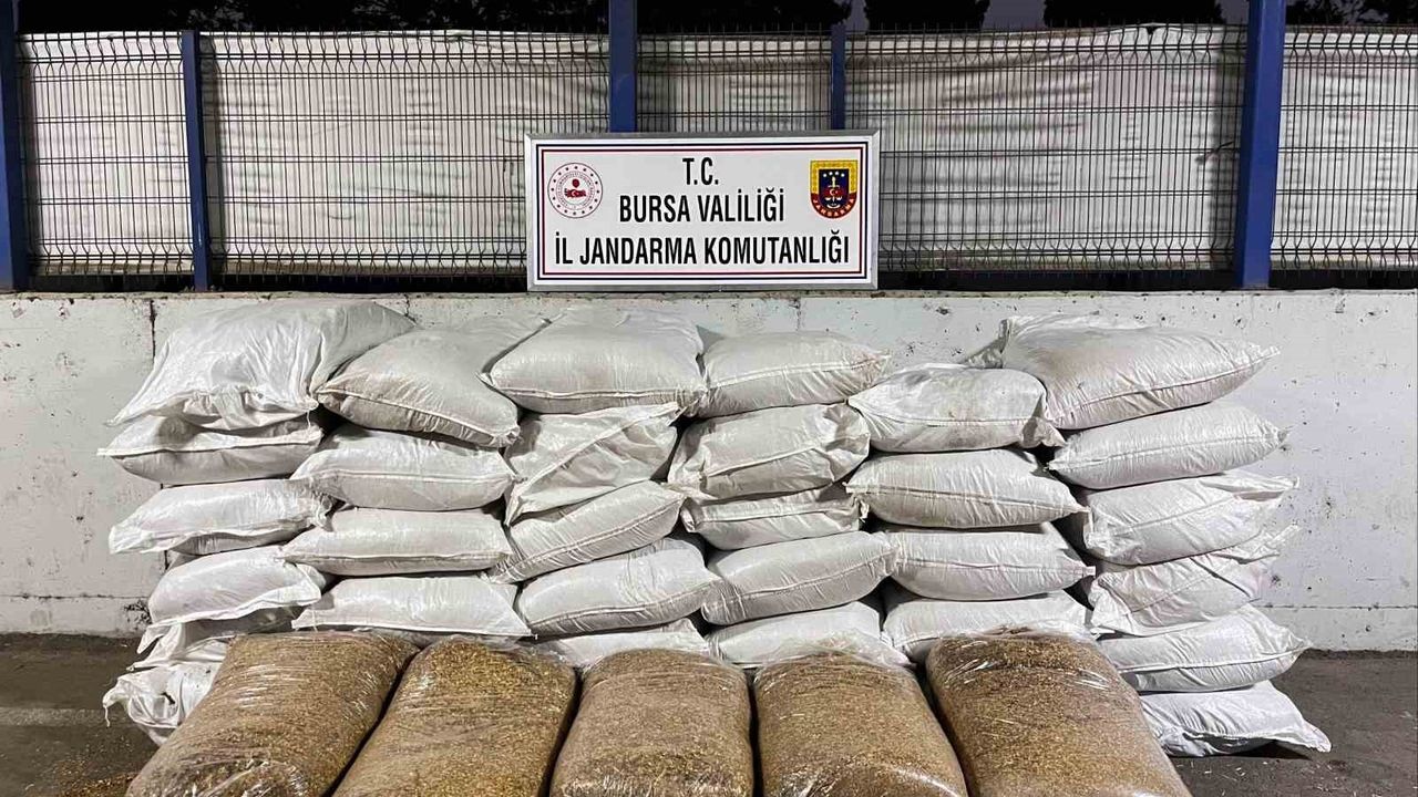 Bursa'da Jandarma'dan Kaçak Sigara Operasyonu