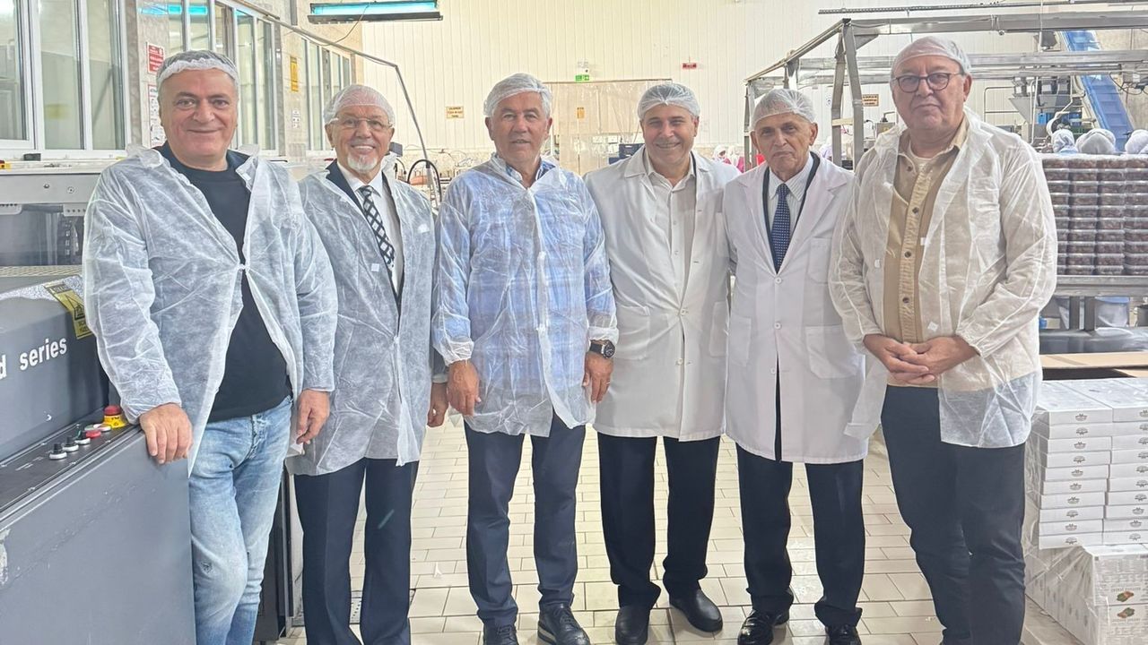 Bursa'da Kestane Şekeri Üretimi: İlka Şekerleme, Kardelen ve Cardelion