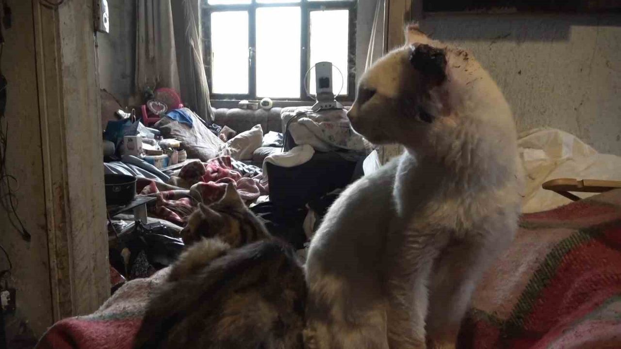 Bursa'da Yalnız Adamın Evi Çöplüğe Döndü: 2 Kamyon Atık Çıkarıldı