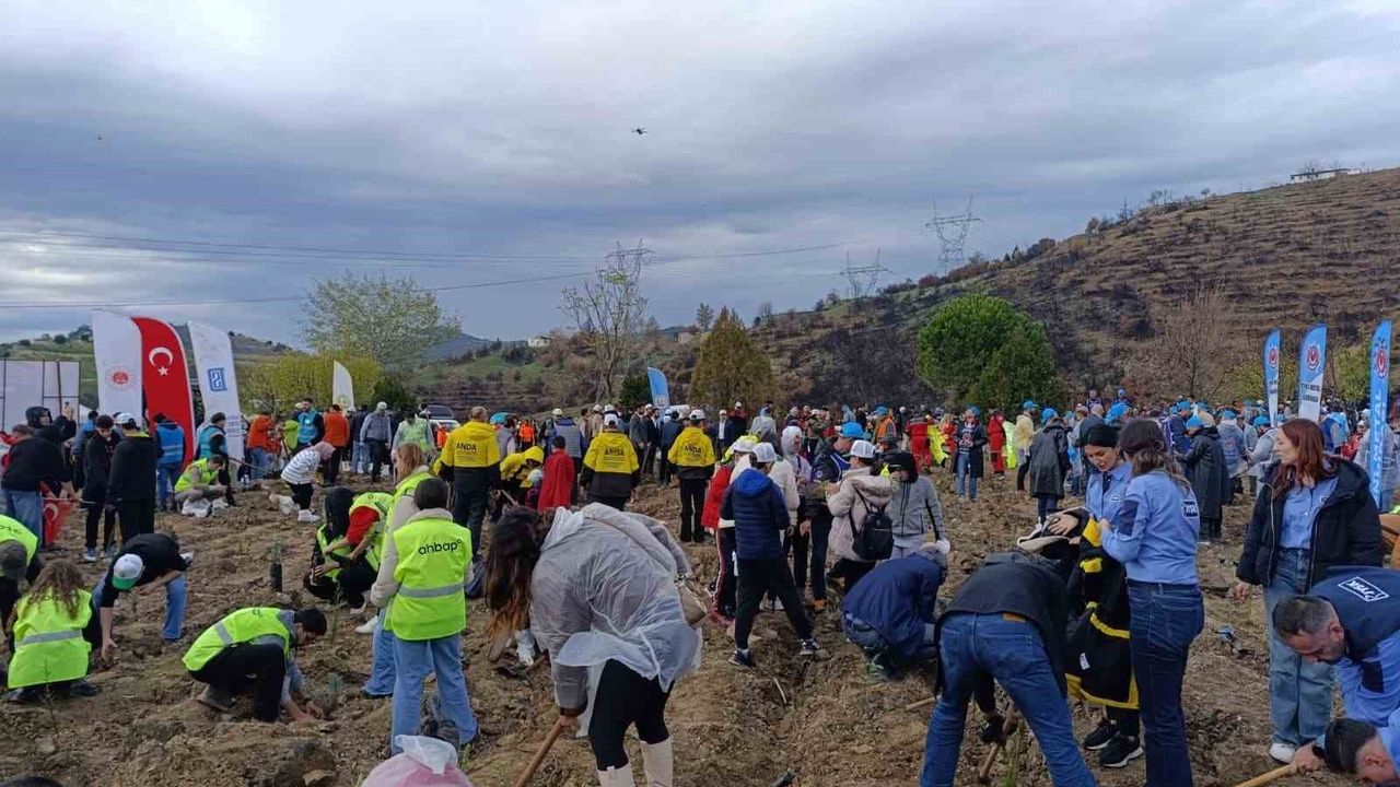 Bursa'da Yanan Ormanlar Milli Ağaçlandırma Günü'nde Yeniden Yeşeriyor