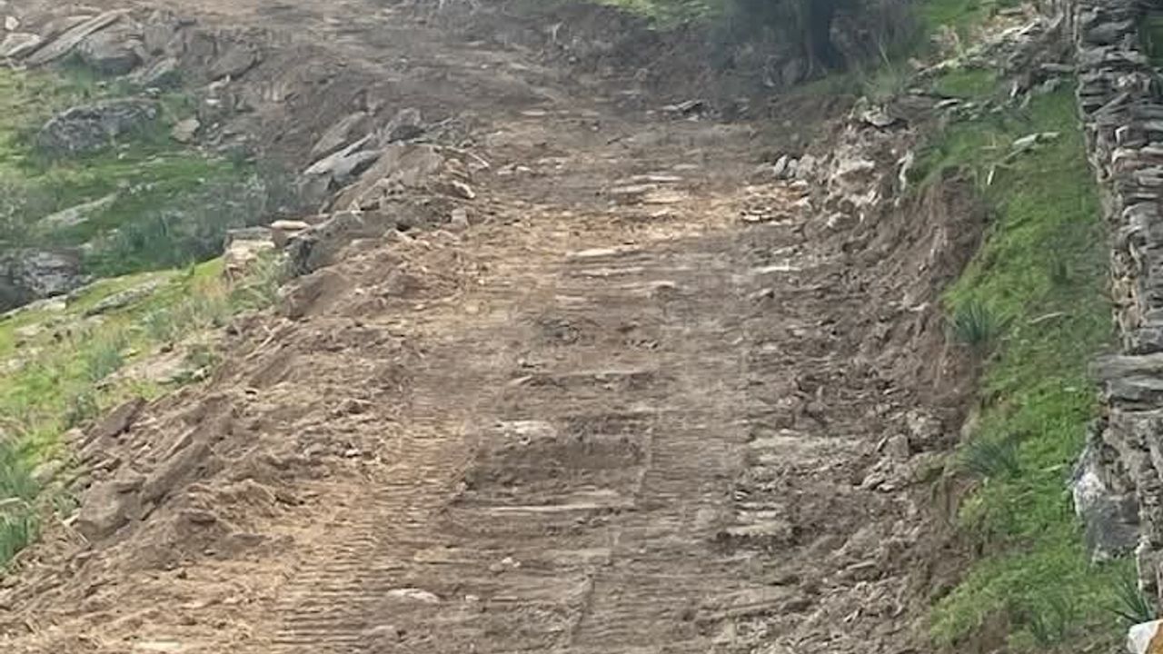 Burunköy'de Yangın Yolları Açılıyor — Aydın Orman İşletme Müdürlüğü Başladı