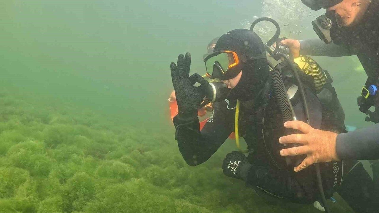 Büyükakın İzmit Körfezi'ne daldı: Deniz tabanında yaşam yeniden canlanıyor