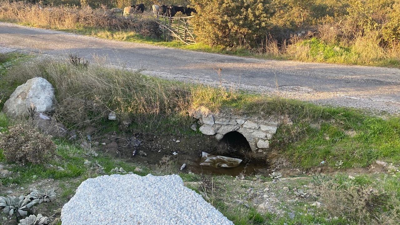 Çanakkale'de Boş Arazide Kız Bebek Cesedi Bulundu