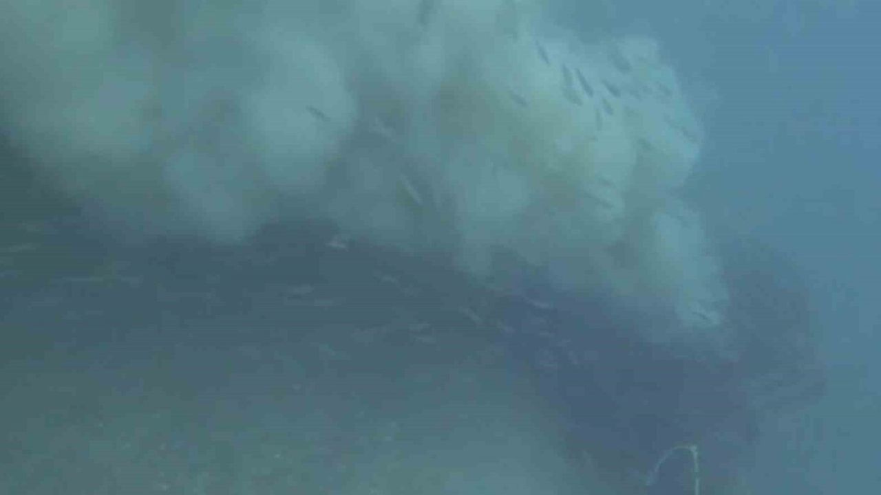 Çanakkale'de Dalgıç Müjdat Turan Boğaza Dökülen Atık Suyu Kaydetti