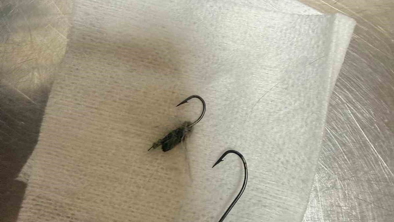 Çanakkale'de Gökkuşağı Parkı'nda Kediye Olta Kancası Takıldı