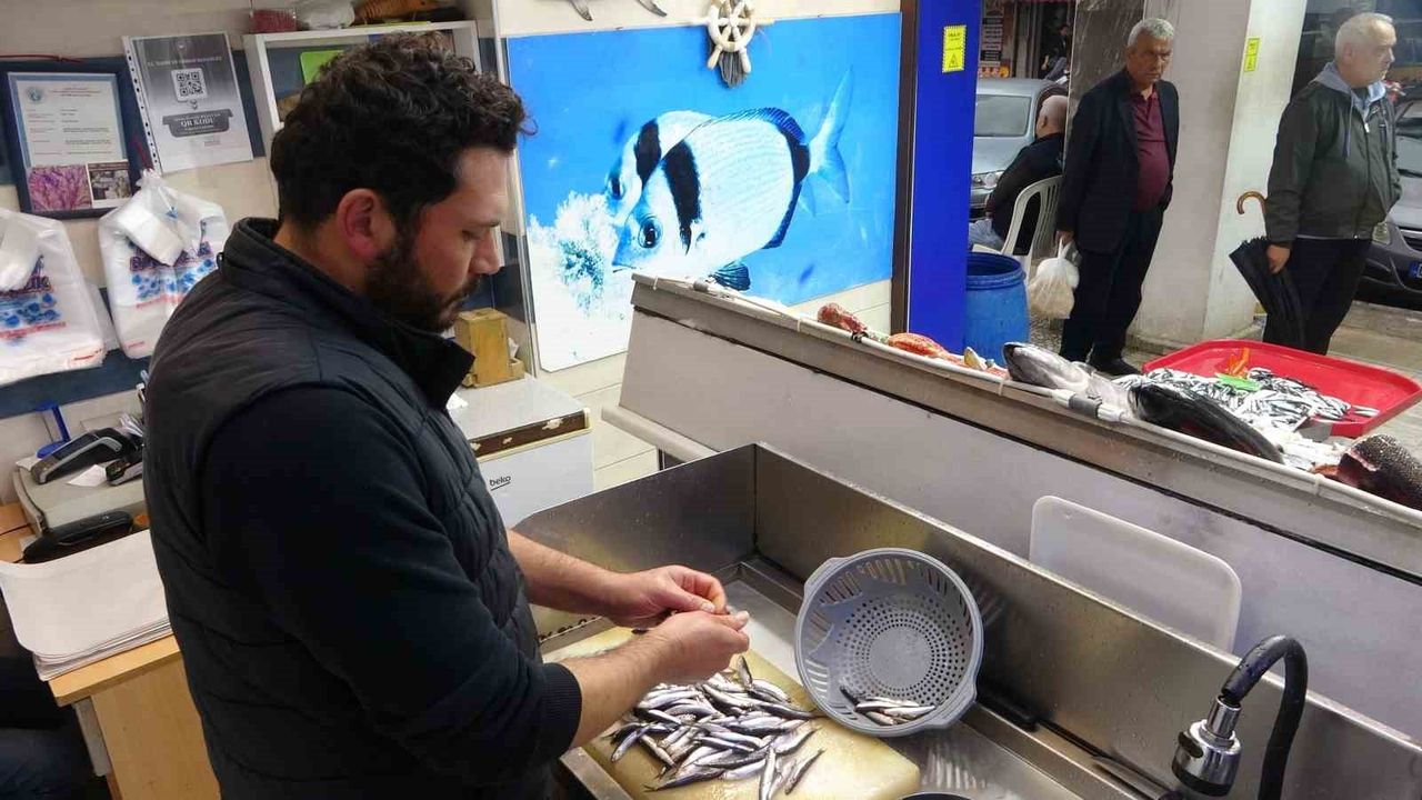 Çanakkale'de Hamsi ve Sardalya Tezgahlarda Fiyatını Koruyor