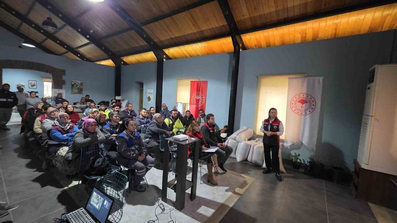 Çanakkale'de Kahverengi Kokarca'ya Karşı 4 Bin Samuray Arısı Salındı