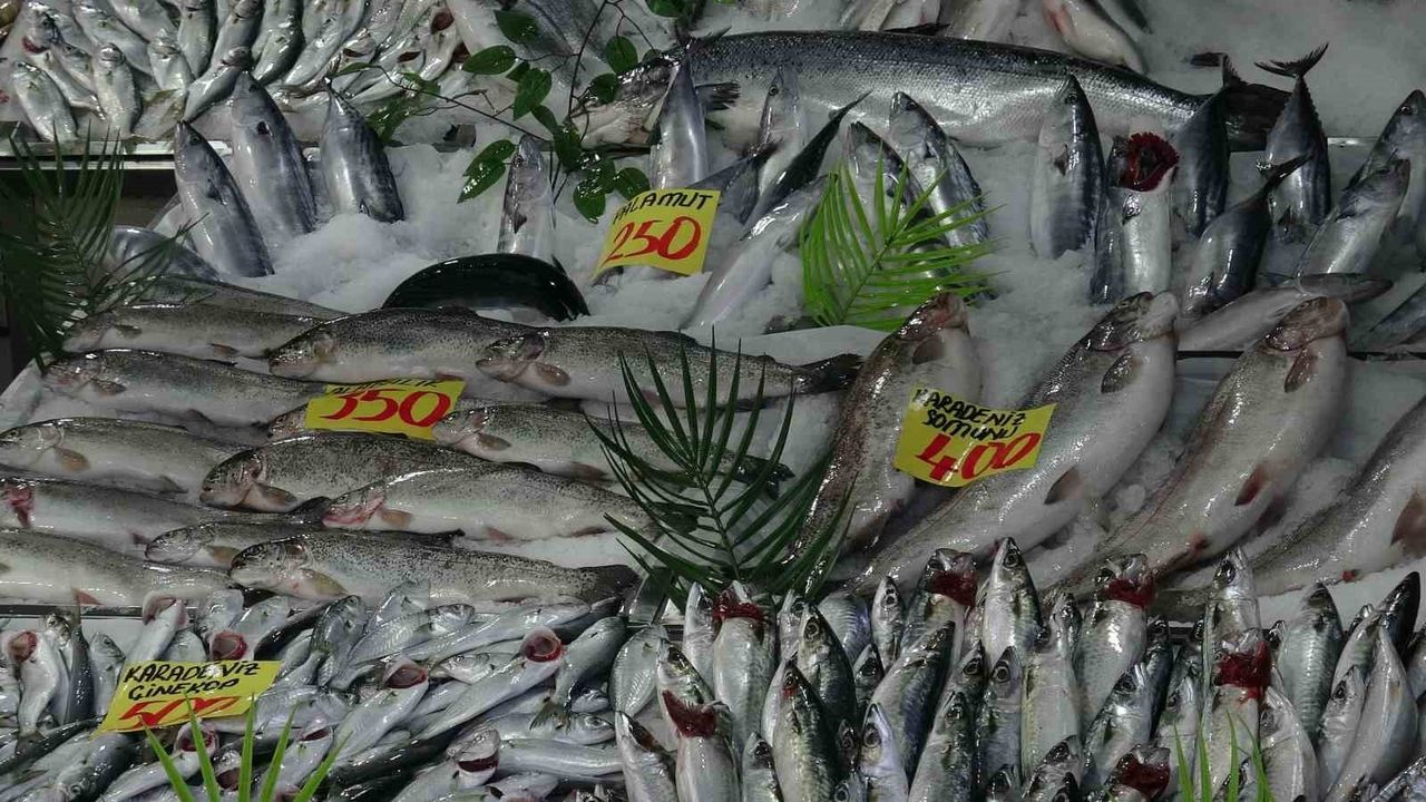 Çankırı'da hamsi 100 TL'ye Düştü: Denizi Olmayan Kentte Balık Bolluğu