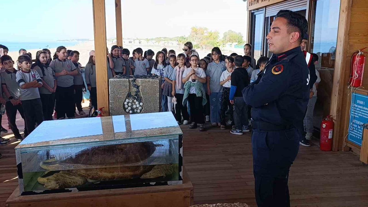 Caretta caretta Zühal, Tedavi Sonrası Denize Bırakıldı