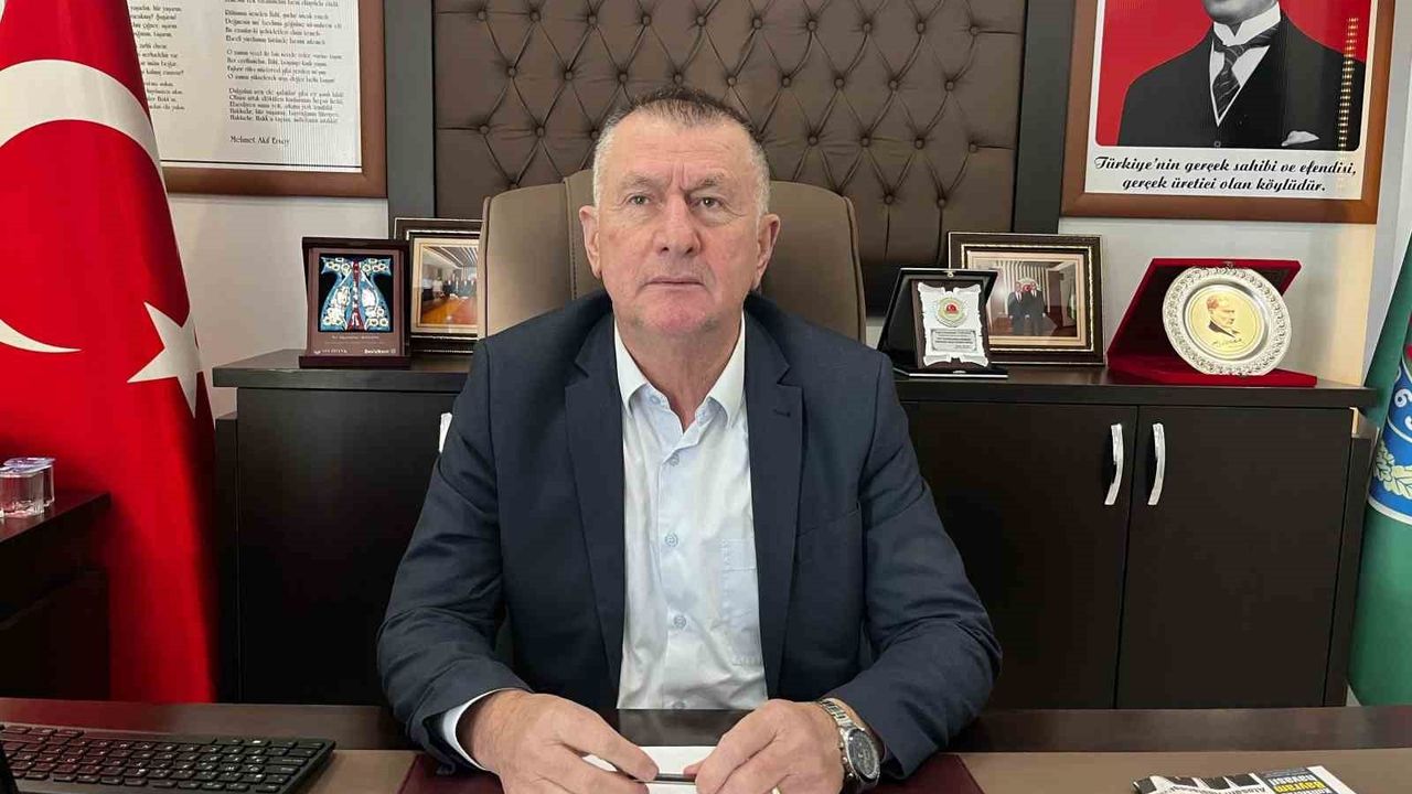 Çarşamba'da kivi hasadı başladı: Hedef Türkiye birinciliği