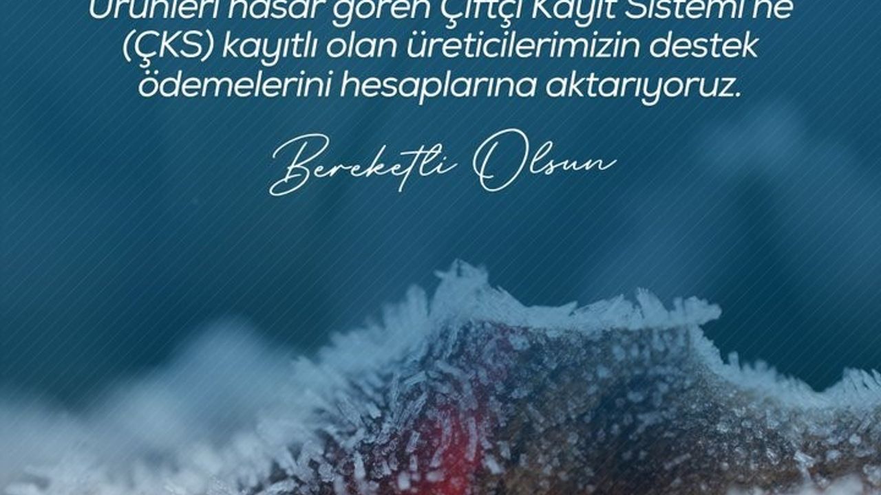 Çiftçilere 798 Milyon Lira Zirai Don Desteği