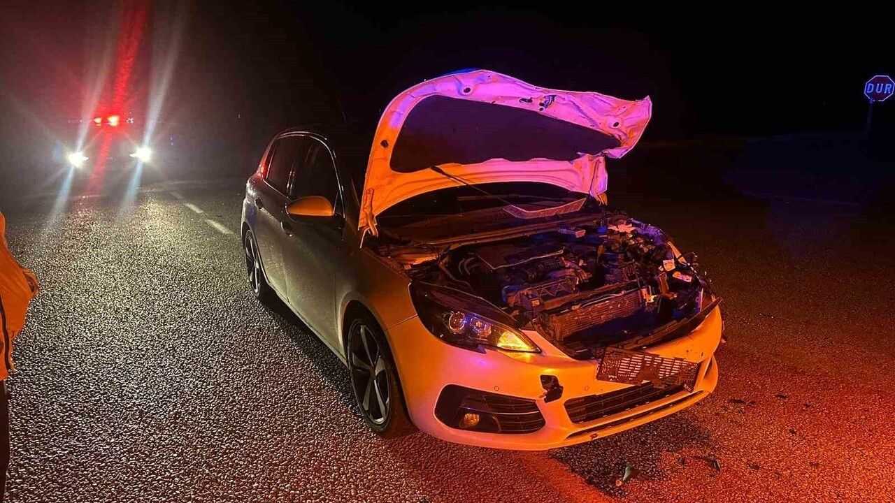 Çorum Alaca'da Otomobil Dana Çarptı: 2 Yaralı, Dana Telef Oldu