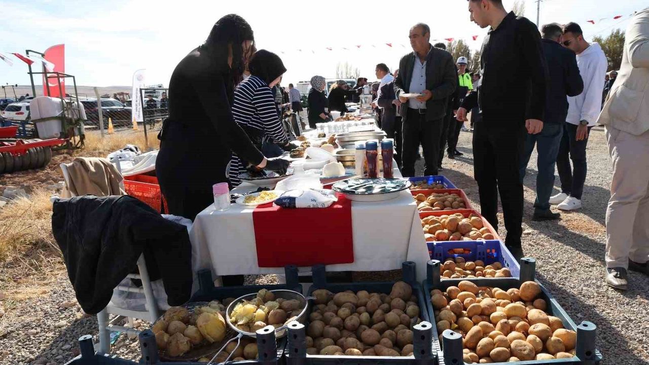 Darende'de İlk Yerli Patates Tohumu Şenliği Yoğun İlgiyle Gerçekleşti