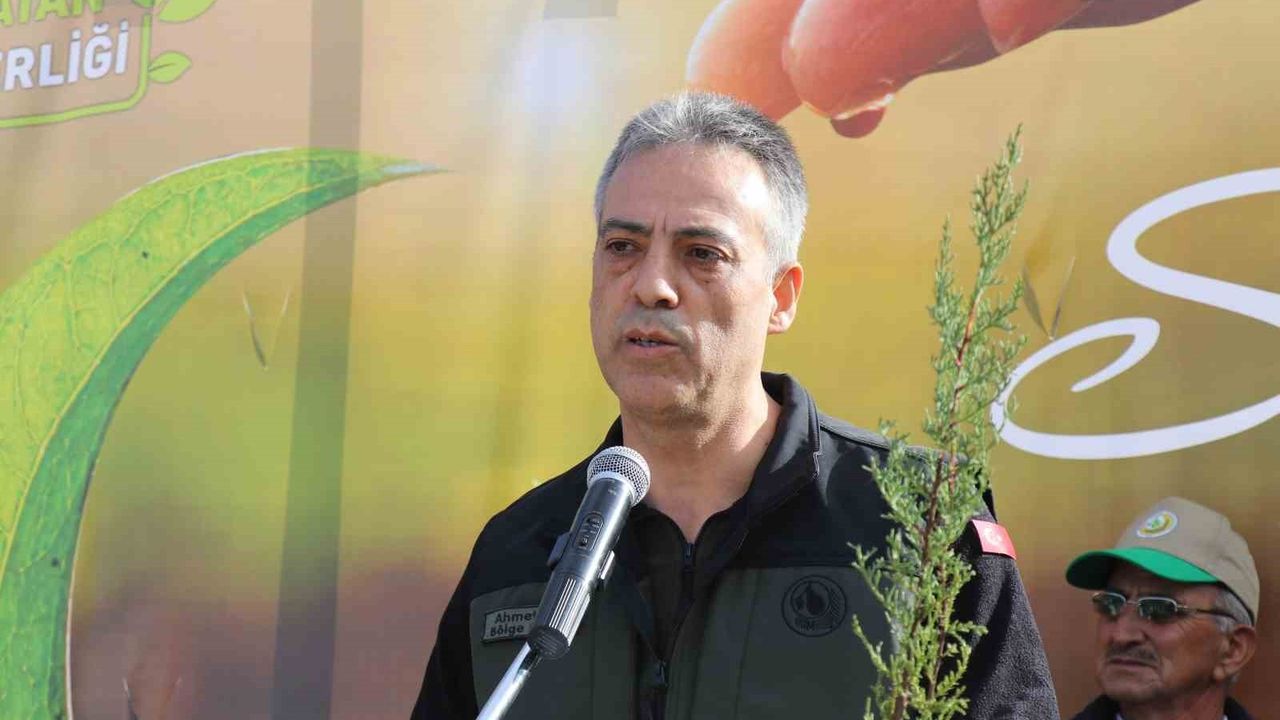 Denizli’de Honaz Milli Parkı’nda Binlerce Fidan Toprakla Buluştu