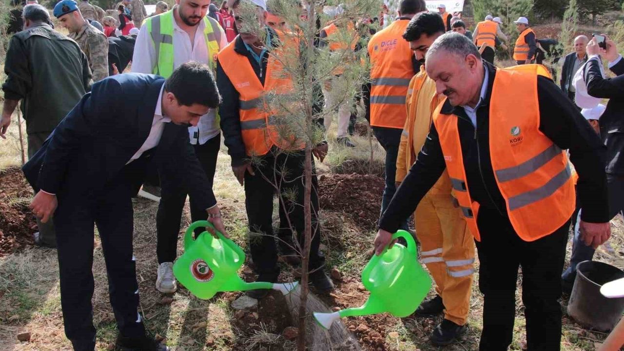 DEPSAŞ Enerji, Makam Dağı'na 3 Bin Fidan Dikti