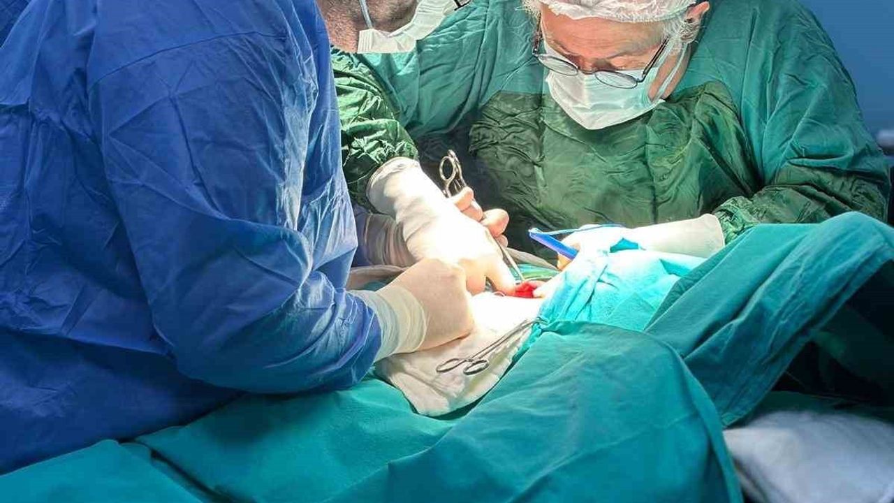 Derecik Devlet Hastanesi'nde İlk Guatr Ameliyatı Başarıyla Gerçekleşti