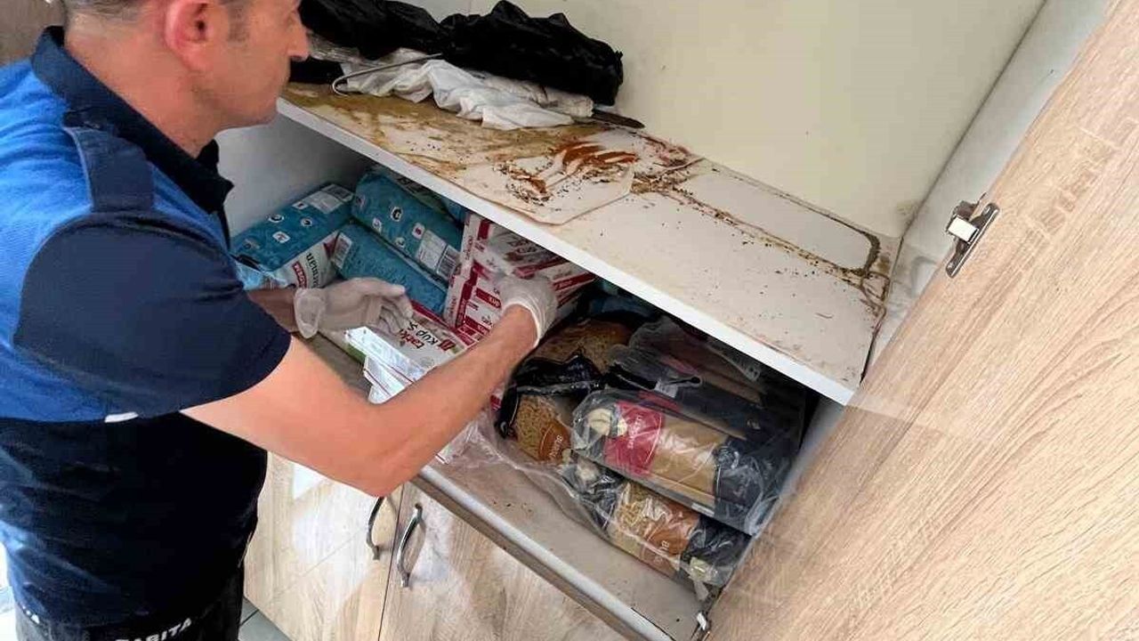 Devrek’te İki Günde İkinci Hijyen Skandalı: İşletme Mühürlendi