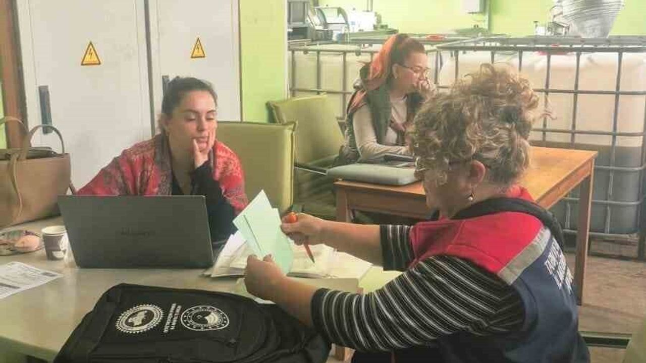 Didim’de Organik Zeytin ve Zeytinyağı Üretim Alanları Denetlendi