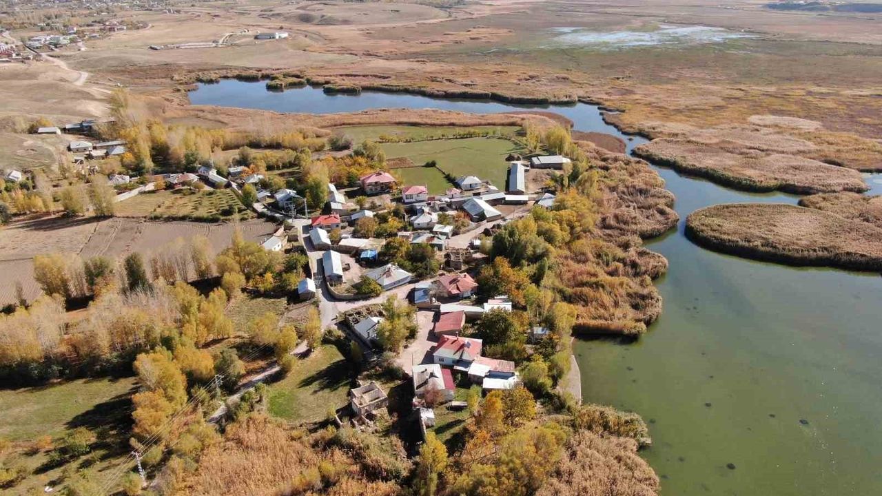 Dilkaya Deltası'nda Sonbahar Kartpostalları