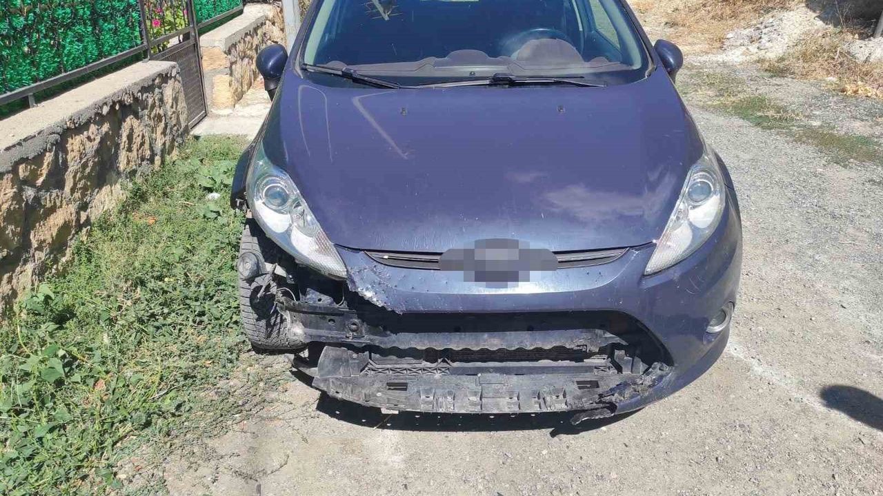 Divriği'de Başıboş Köpekler Otomobile 108 Bin TL Zarar Verdi