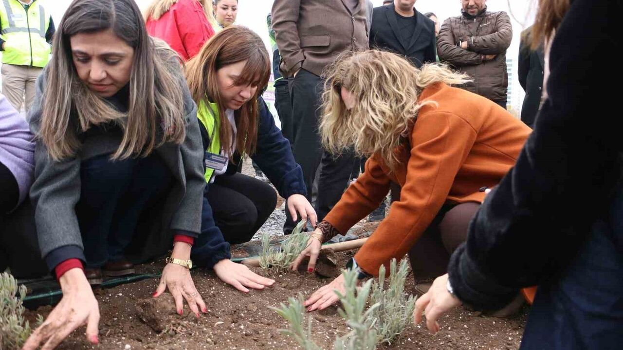 Diyarbakır’da 14 Bin Metrekarelik Tıbbi ve Aromatik Bitki Bahçesi Kuruluyor