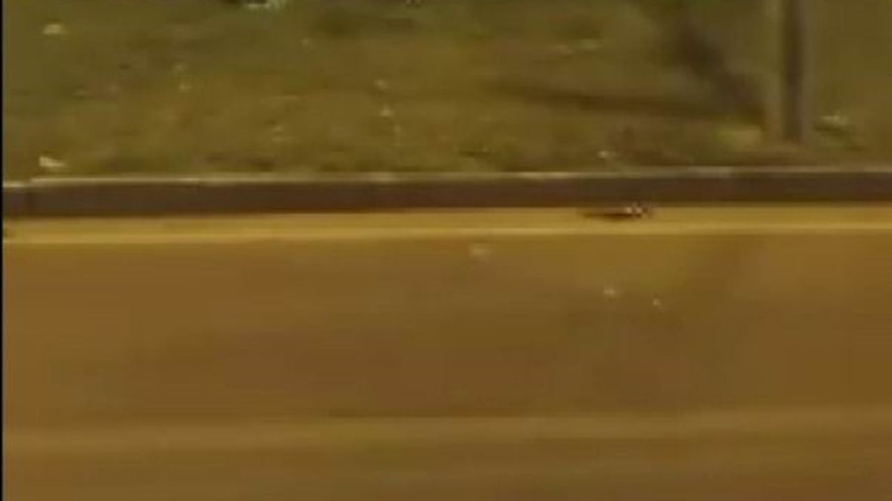 Diyarbakır'da Araç Refüje Uçtu: 1 Yaralı