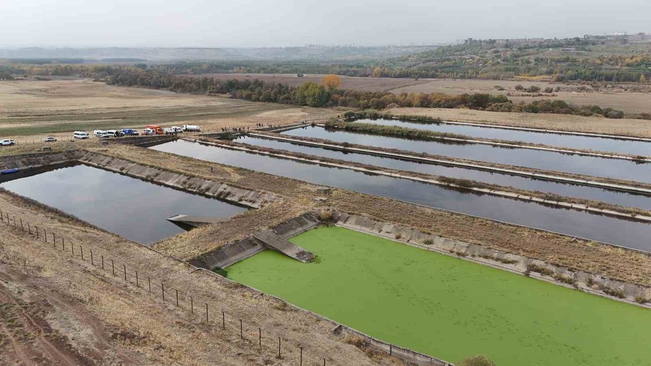 Diyarbakır'da Hastaneden Ayrılan Polis Memuru Sazlıkta Ölü Bulundu