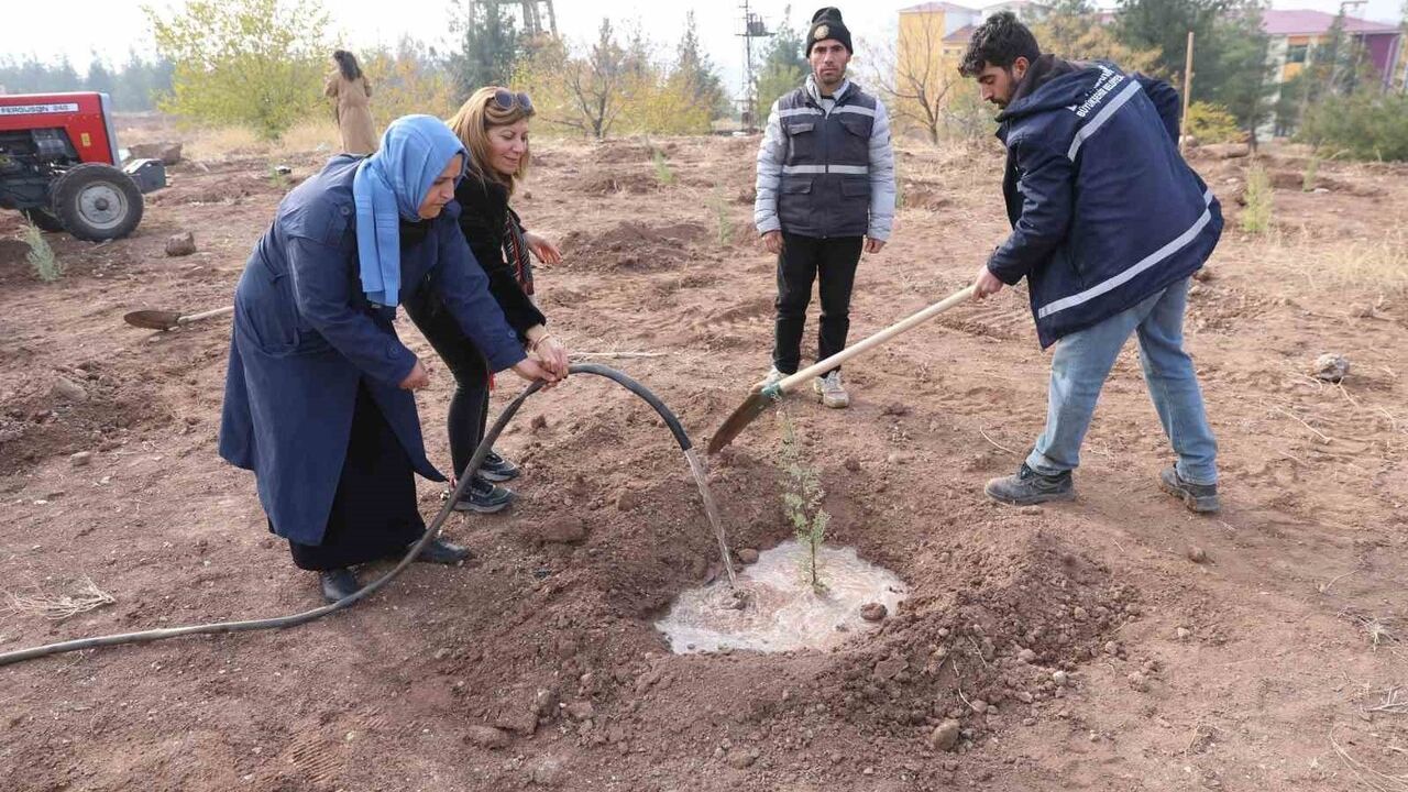 Diyarbakır'da Kadına Yönelik Şiddete Dikkat: Barış Ormanında Fidan Dikimi
