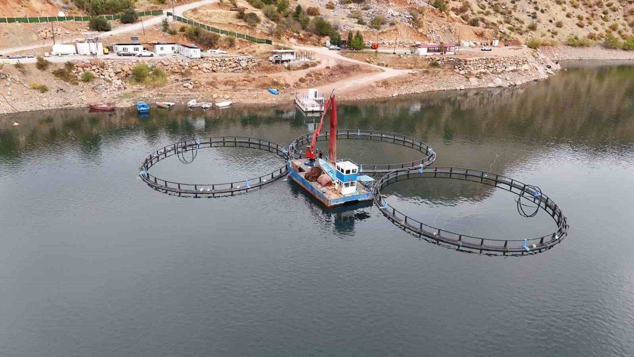 Diyarbakır'dan Dünyaya Mezopotamya Somonu İhracatı