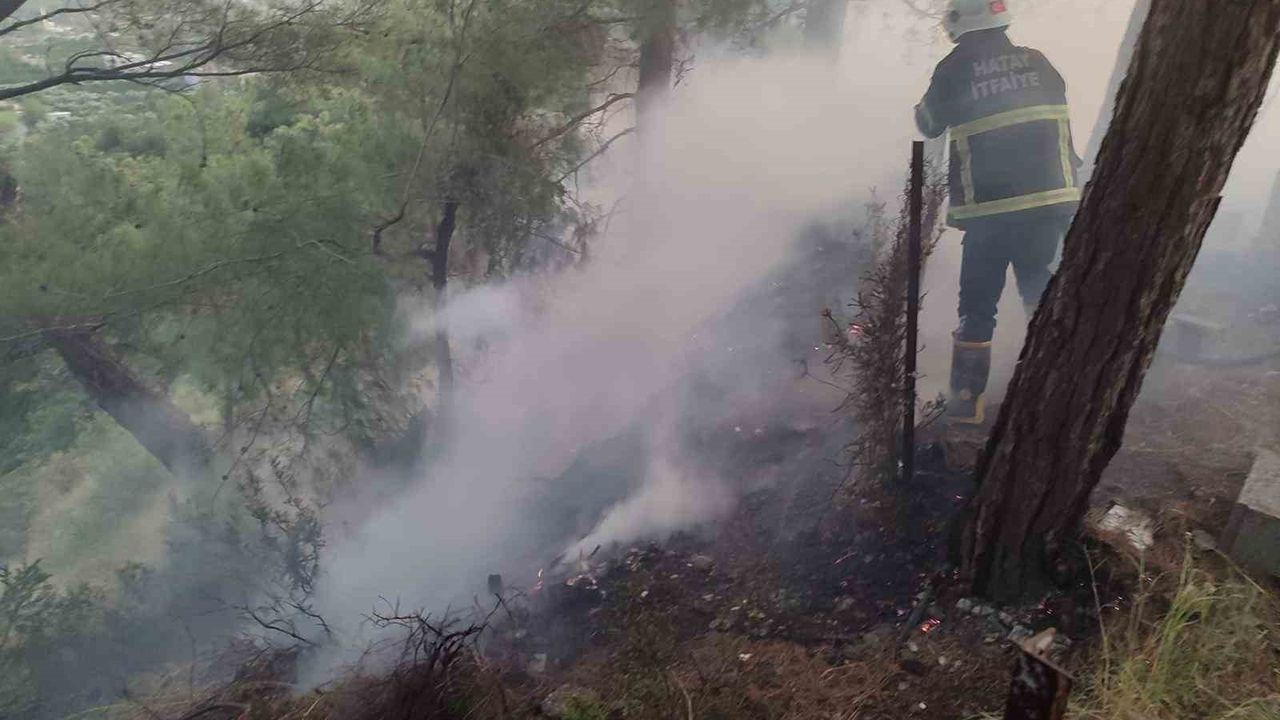 Dörtyol Keçeli'de Orman Yangını Kısa Sürede Kontrol Altına Alındı