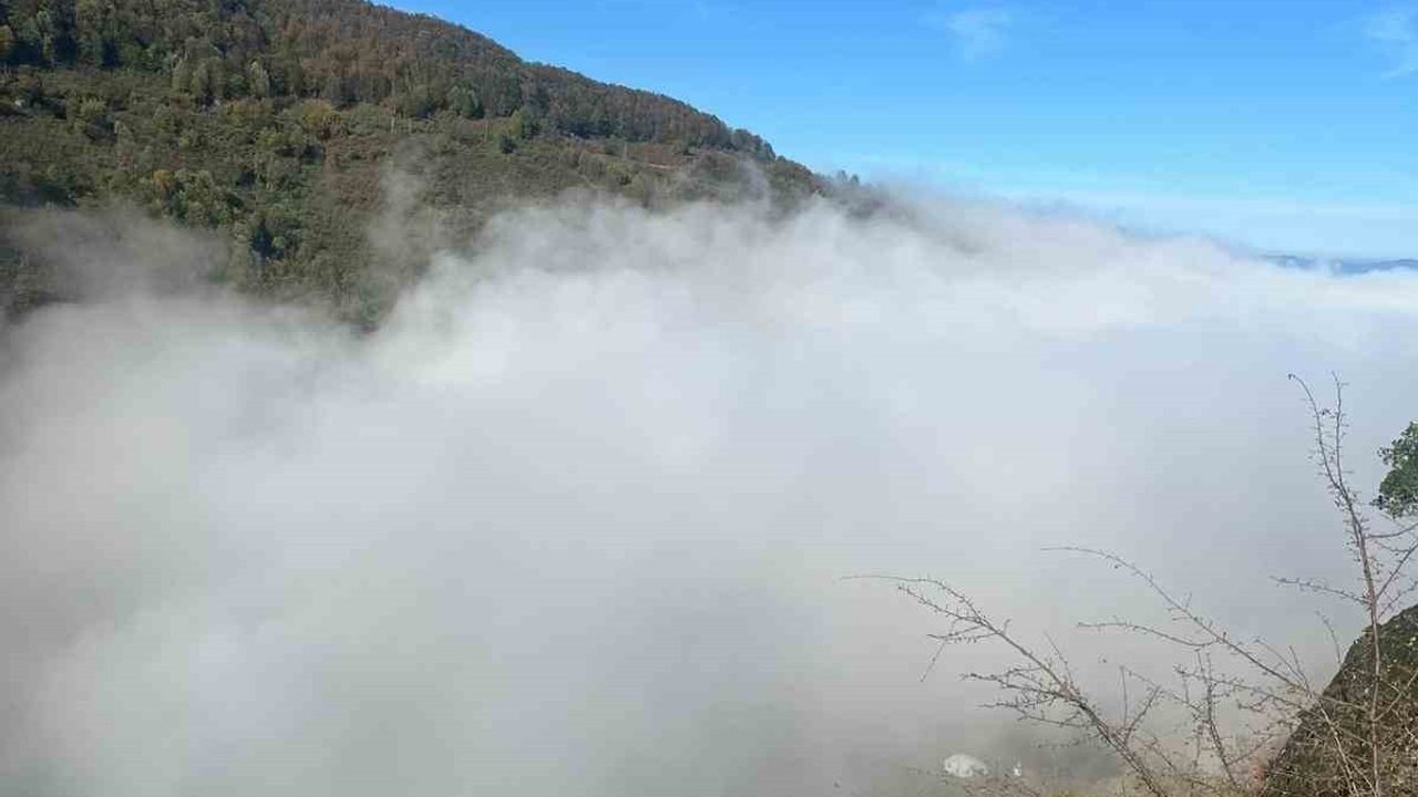 Düzce’de Yoğun Sis: D-100 Karayolu ve TEM Otoyolu'nda Görüş Mesafesi Azaldı