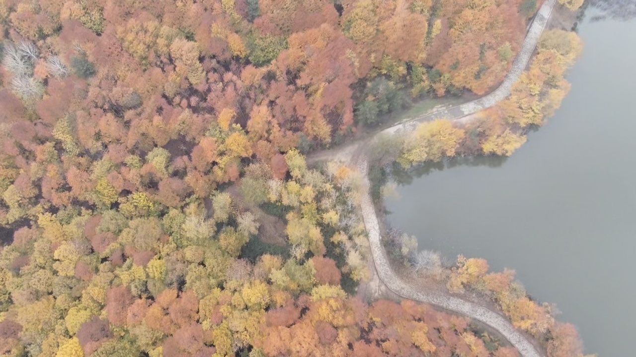 Düzce'nin Yeni Turizm Rotası: Korugöl Tabiat Parkı Ziyarete Açıldı